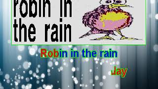 Robin in the Rain