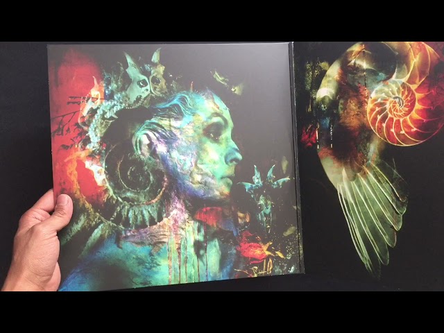 Vídeo relacionado con Draconian Times (25th Anniversary) Vinilos color azul
