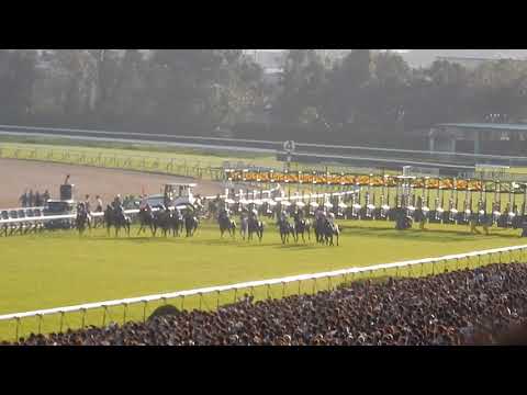 エリザベス女王杯2018/リスグラシューが惜敗に終止符　モレイラ騎手は日本のG1初勝利(2018.11.11)