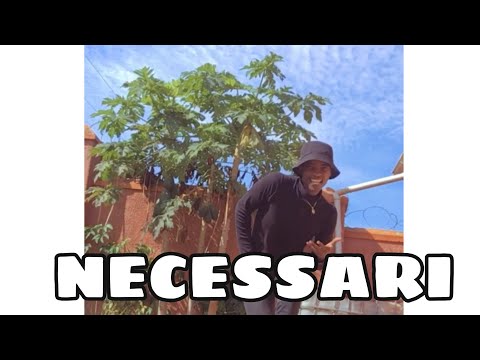 NECESSARI - Kizz Daniel ft Philkeyz (DANCE CHOREOGRAPHY) #shorts
