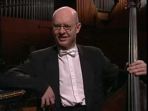 Sigurd og Symfoniorkesteret - Kontrabas