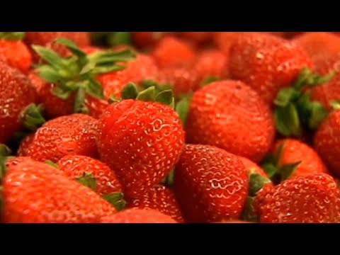 Video: Smolak Farms manager gives tips on growing own strawberries in Massachusetts