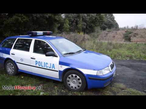 26.09.2014 Oleśnica - ludzkie szczątki za cmentarzem