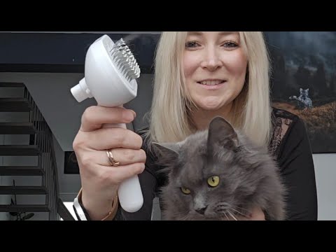Wir testen verschiedene Katzenbürsten 