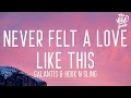 Galantis & Hook N Sling - Never Felt a Love Like This (Lyrics) ft. Dotan