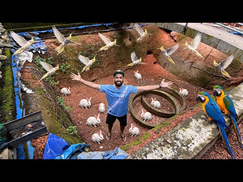 🔥എല്ലാത്തിനേയും പിടിച്ചു കൊടുത്തു!! ഇനി പണി കിട്ടില്ല | Aviary update | Fishing freaks 