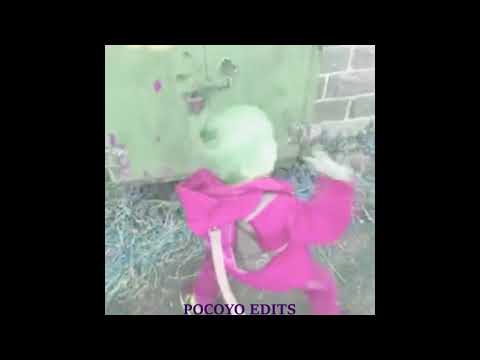 EDIT - CONVOQUEI TODAS PIRANHA NO GRUPO DO WHATSAPP - MC RD - Hoje tem Bailão (DJ Biel Beats)