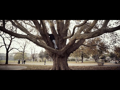 MONOBROTHER - Stuwerboy (prod.  Fid Mella)