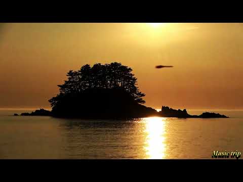 Jean François Maurice - 28º A L'ombre(Monaco)