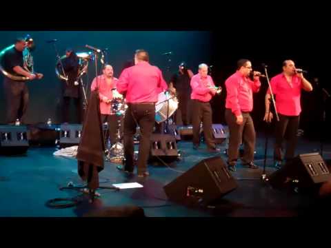 New York Gypsy Festival / Fanfare Ciocarlia