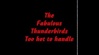 The Fabulous Thunderbirds