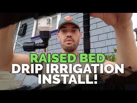 9 Beginner Raised Bed Garden Mistakes to Avoid