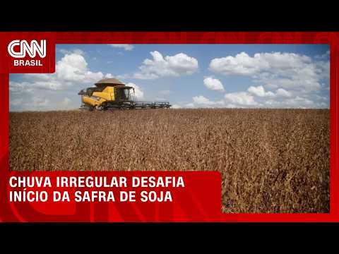 Chuva irregular desafia início da safra de soja no Centro-Norte | CNN AGRO NEWS