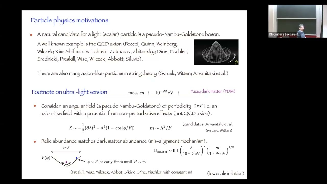 Wave Dark Matter (and Black Holes)