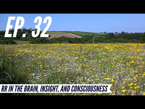 Ep. 32 - Awakening from the Meaning Crisis - RR in the Brain, Insight, and Consciousness