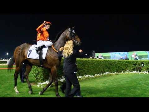 Volatile Ett Svensk Galopp Âventyr Del 2