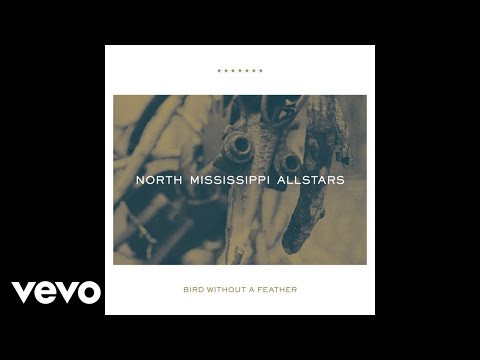 Video thumbnail for Bird Without a Feather