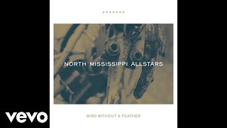 North Mississippi Allstars - Bird Without a Feather (Audio)