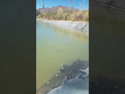 La aguada Puna-CACHI-SALTA.