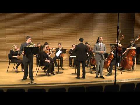 Serenade for tenor, horn, and strings op. 31 - Britten III. Nocturne