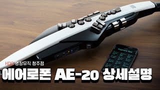 롤랜드 에어로폰 AE-20 (일반)_동영상_이미지