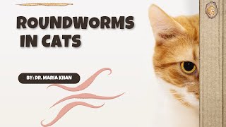 HOW TO PREVENT ROUNDWORMS IN CATS #cute #cat #cats