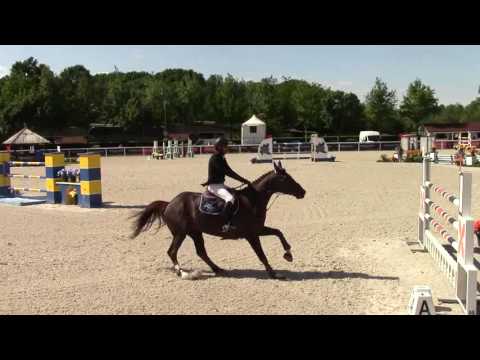 Rock Star Castellane - GP LR145 CSI2* Busto Arsizio 1ère manche 05/16 - 14ème