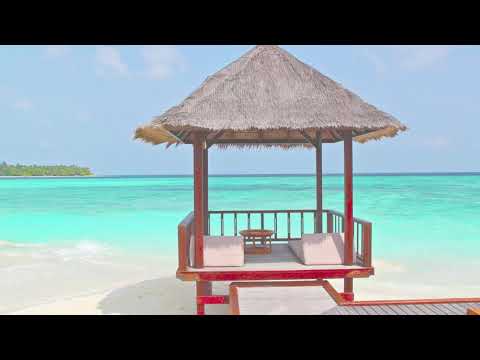 PARADISE - Samantha Taylor (No Walls Project) - ft. MC Spyda