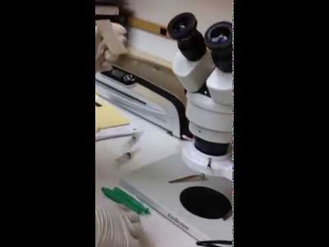 Steps to make a microfluidic chip using PDMS