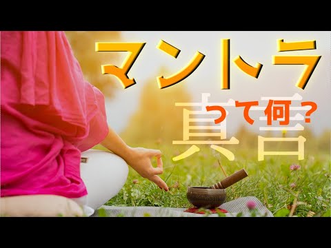 トラサギスについて詳しく解説