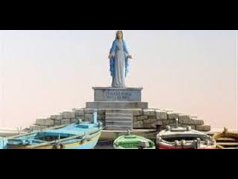 ✞✞✞ ZDRAVO ZVIJEZDO MORA ✞✞✞