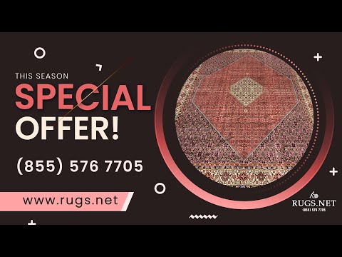 9'10" x 13'3 Rare Size Persian Bijar Iron Rug