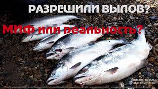 Правила рыбной ловли в приморском крае 2020