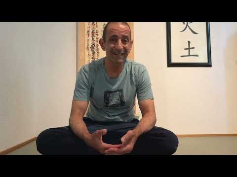École de Ninpo Nin-Jutsu - art martial japonais traditionnel 2 Ninpo Nin-Jutsu : Définition & présentation