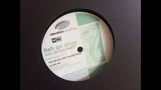 Fish Go Deep  -  How Do You Feel? (Aruba Remix)