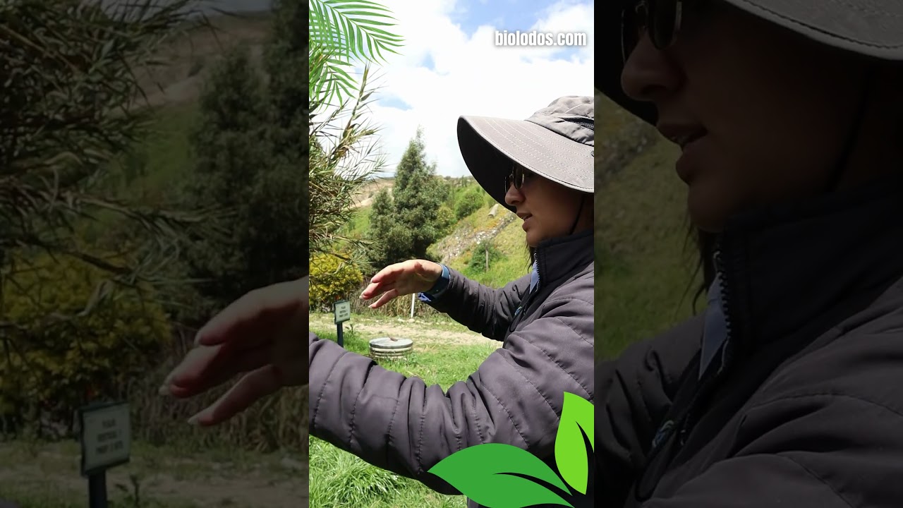 Testimonio cliente Biolodos Anox SAS ESP