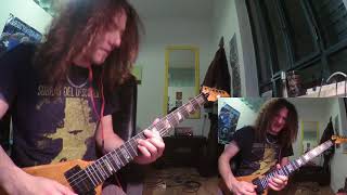 Anthrax - METAL THRASHING MAD cover by ofer holan