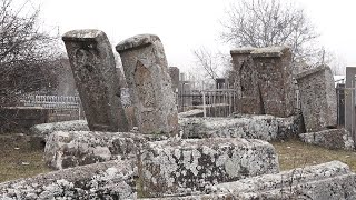 Տեղ