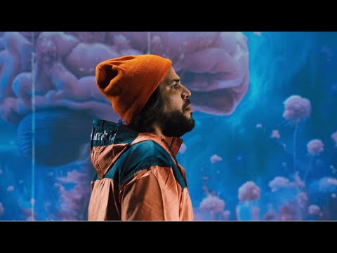 We The Lion - Walking (Official Video)