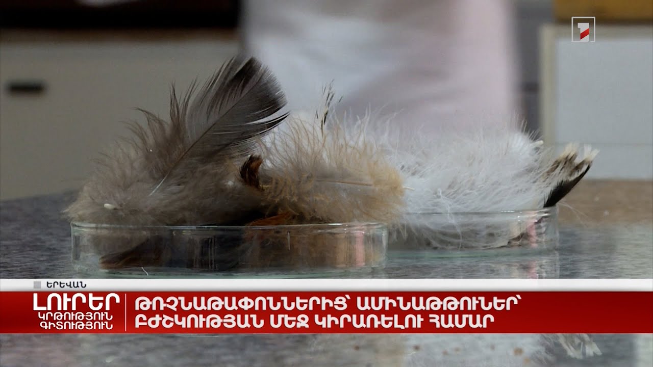 Թռչնաթափոններից ամինաթթուներ՝ բժշկության մեջ կիրառելու համար