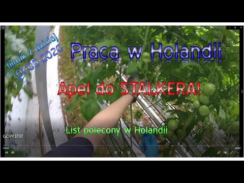 Video from today. Appeal to STALKER! Registered Letter, my first time. Netherlands