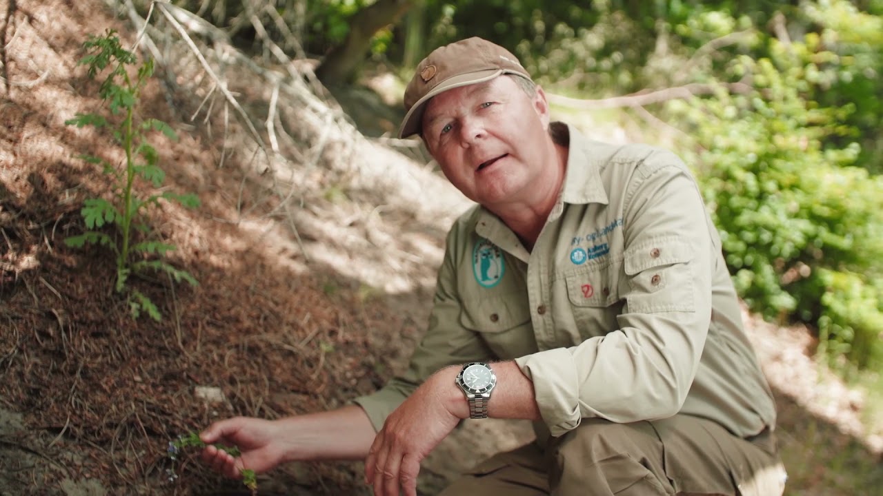 Ta' på opdagelse i Hammer Bakker