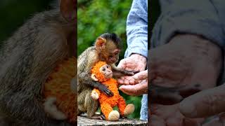 Download lagu 💑#viral#shorts #video #trending #video #youtube#shorts #trend #new#video #viral #song mp3