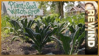 Motown to Growtown: Detroit&#39;s Urban Farming Revolution | REWIND