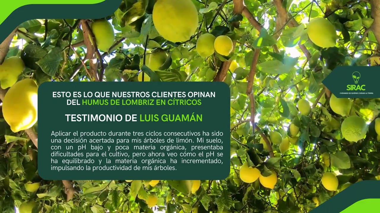 Uso del humus de lombriz - Limon