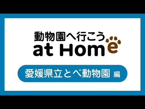 学校教育課程 動物園へ行こう^^@ホーム　その１：とべ動物園編