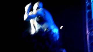 Zadar - Seal - Waiting For You