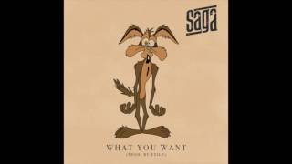 Saga - What You Want [HQ]