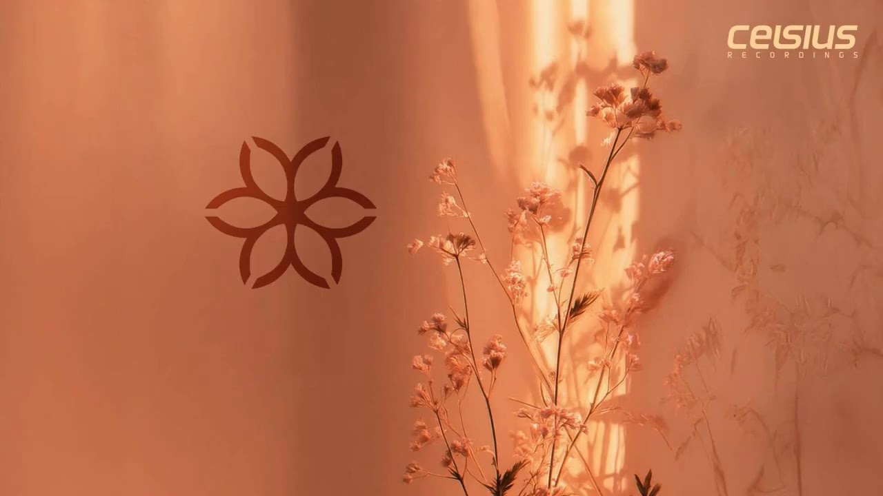 MAG - Inner Flow
