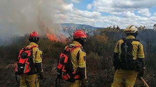 Portugal testet Brandbekämpfung bei europäischer Übung mit 700 Einsatzkräften